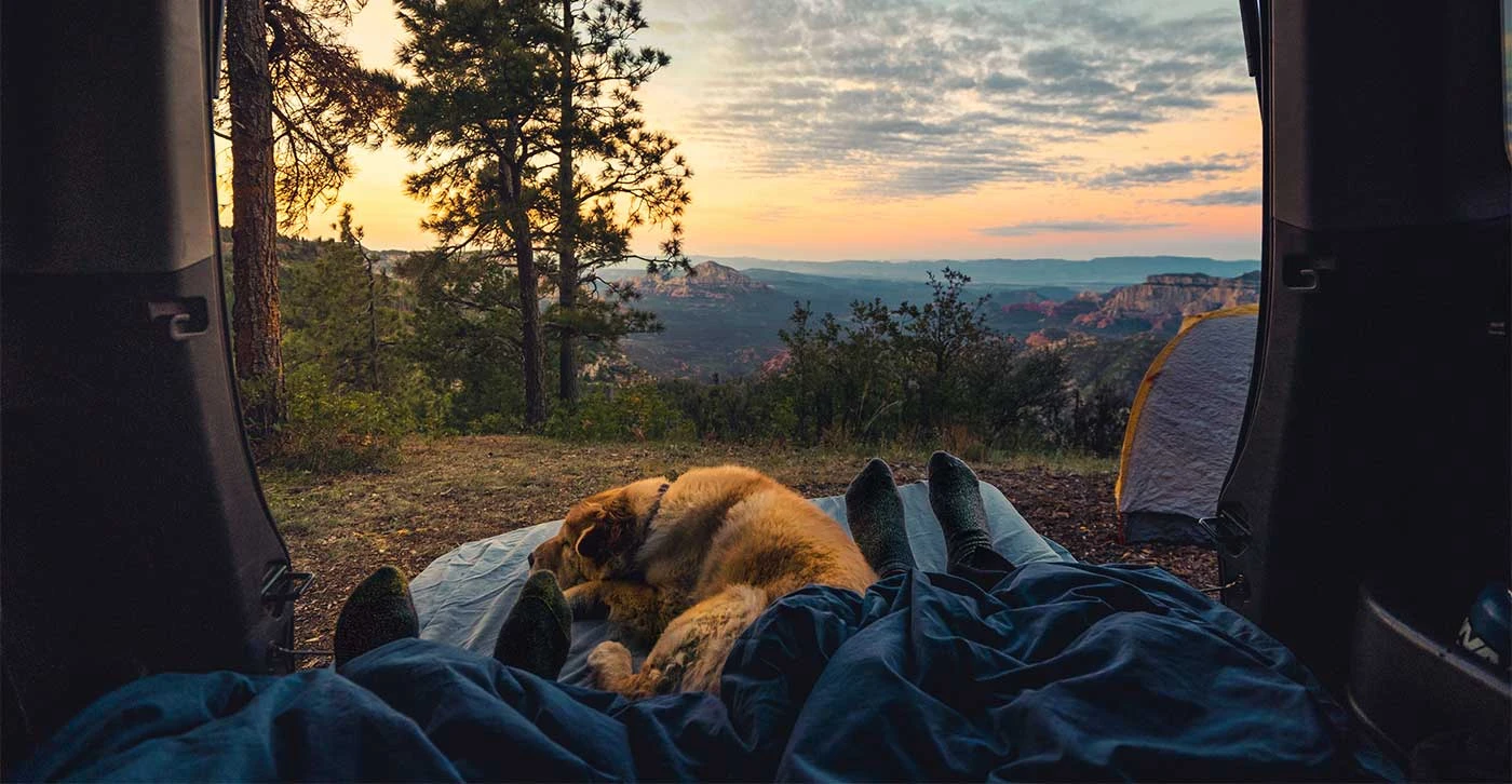 Camping al Estilo Zen: La Magia de la Naturaleza y la Paz Interior